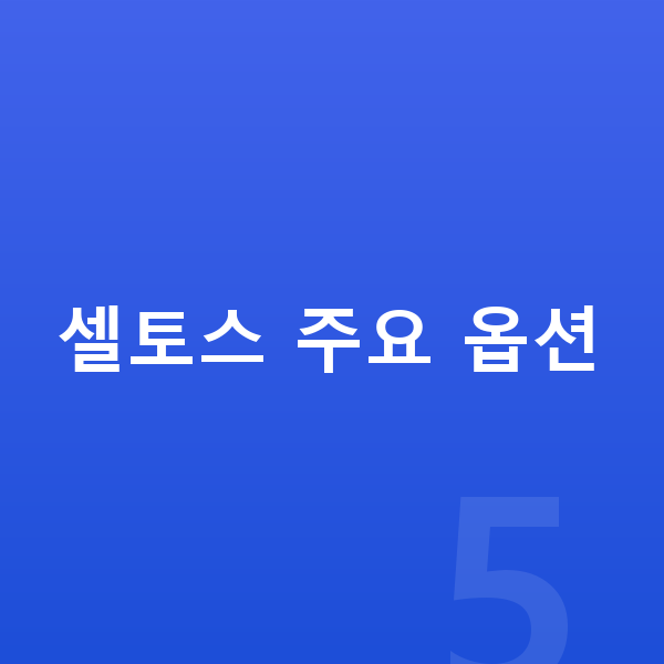 기아 셀토스 옵션 셀토스 주요 옵션