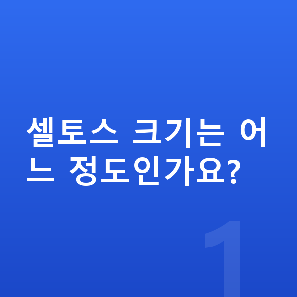 기아 셀토스 제원 셀토스 크기는 어느 정도인가요?