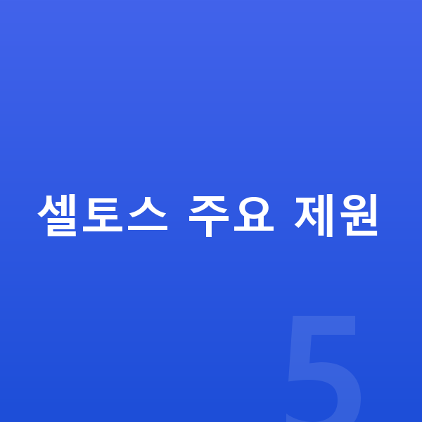 기아 셀토스 제원 셀토스 주요 제원