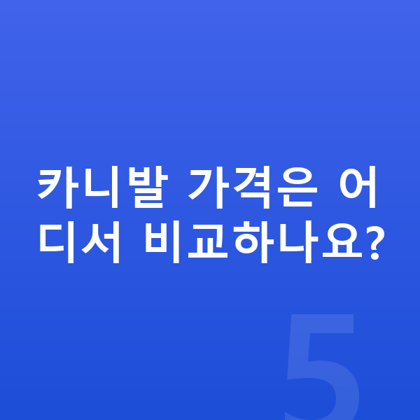기아 카니발 가격 카니발 가격은 어디서 비교하나요?