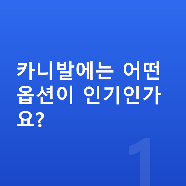 기아 카니발 옵션 카니발에는 어떤 옵션이 인기인가요?