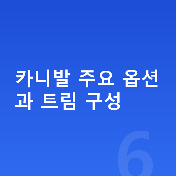 기아 카니발 옵션 카니발 주요 옵션과 트림 구성