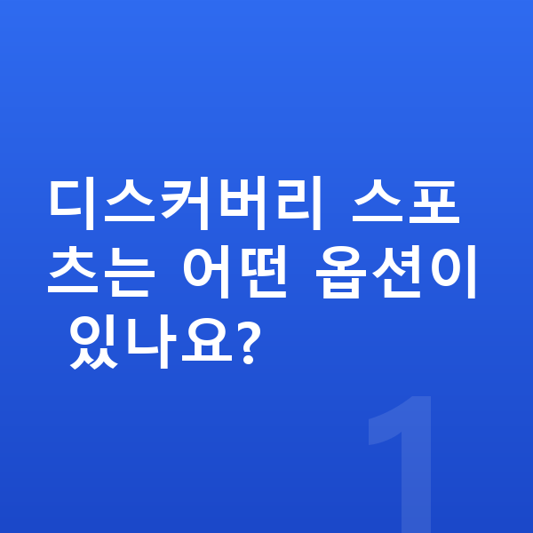 랜드로버 디스커버리 스포츠 옵션 디스커버리 스포츠는 어떤 옵션이 있나요?