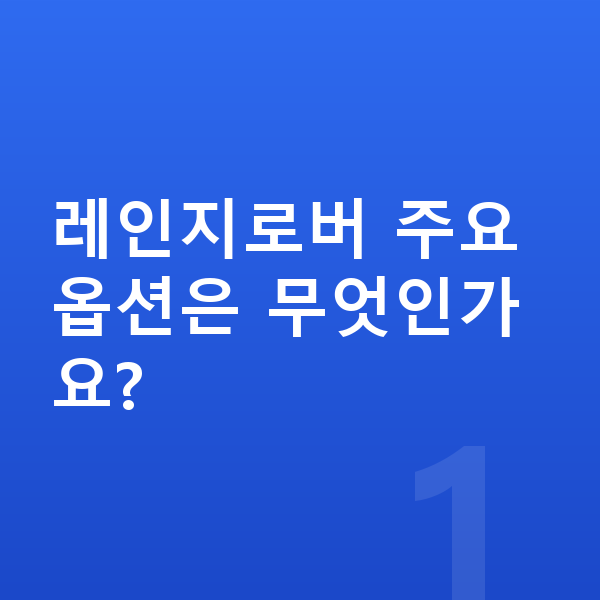 랜드로버 레인지로버 옵션 레인지로버 주요 옵션은 무엇인가요?