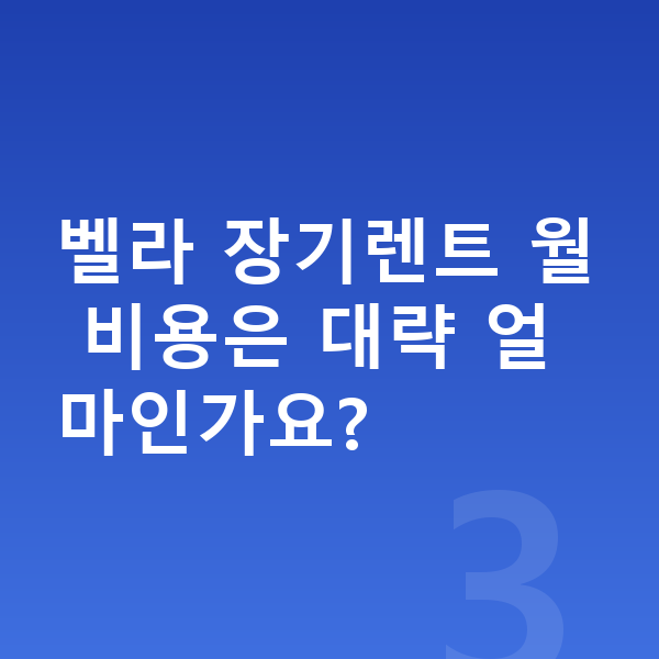 랜드로버 벨라 색상 벨라 장기렌트 월 비용은 대략 얼마인가요?