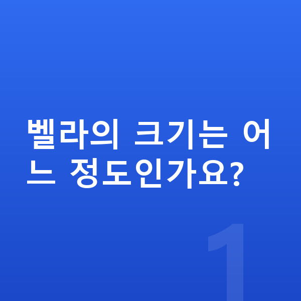 랜드로버 벨라 제원 벨라의 크기는 어느 정도인가요?
