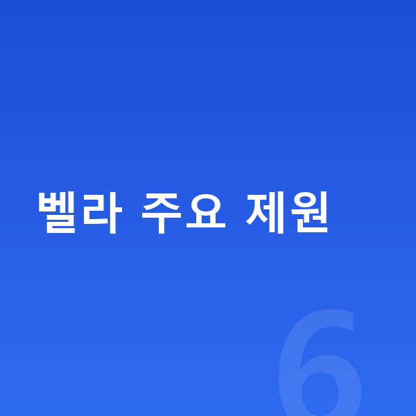 랜드로버 벨라 제원 벨라 주요 제원