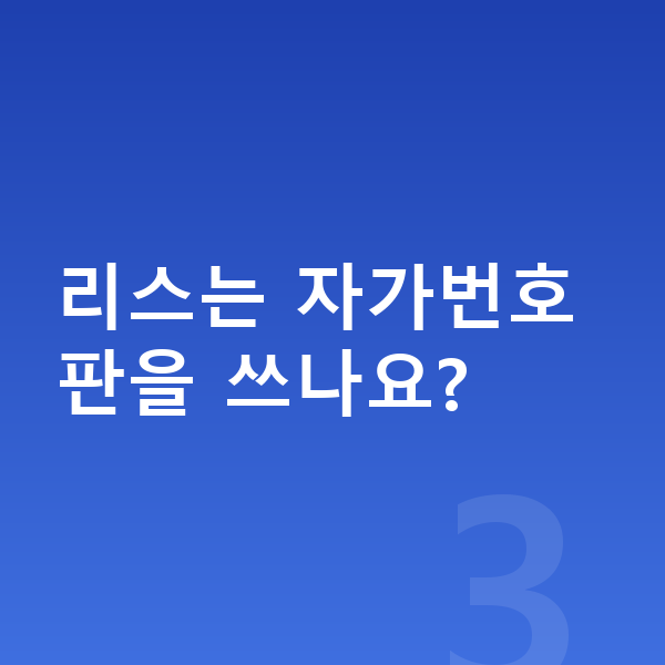 르노 그랑 콜레오스 리스 리스는 자가번호판을 쓰나요?