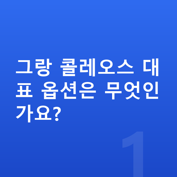 르노 그랑 콜레오스 옵션 그랑 콜레오스 대표 옵션은 무엇인가요?