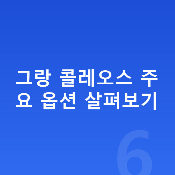 르노 그랑 콜레오스 옵션 그랑 콜레오스 주요 옵션 살펴보기