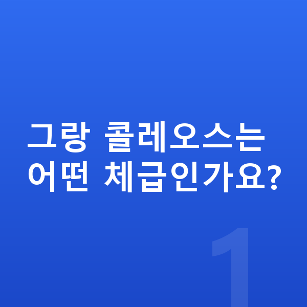 르노 그랑 콜레오스 제원 그랑 콜레오스는 어떤 체급인가요?