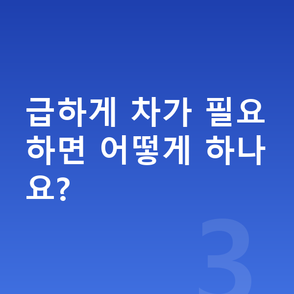 르노 아르카나 리스 출고기간 급하게 차가 필요하면 어떻게 하나요?