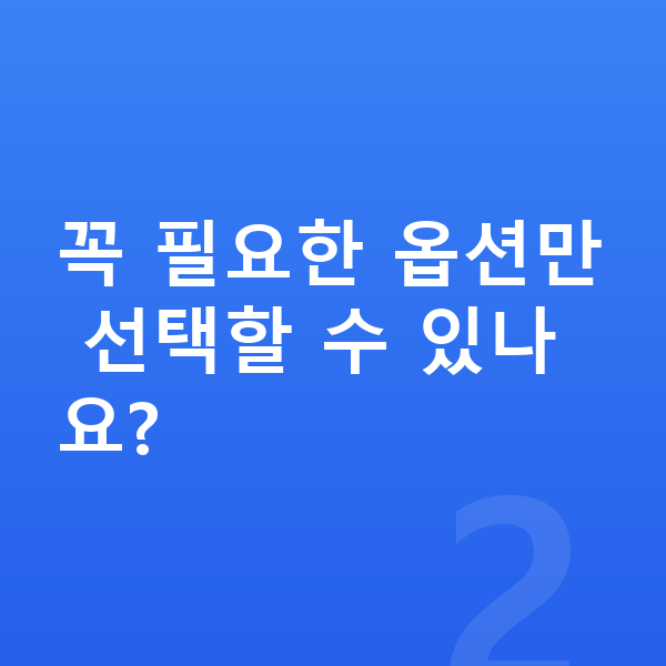 르노 아르카나 옵션 꼭 필요한 옵션만 선택할 수 있나요?