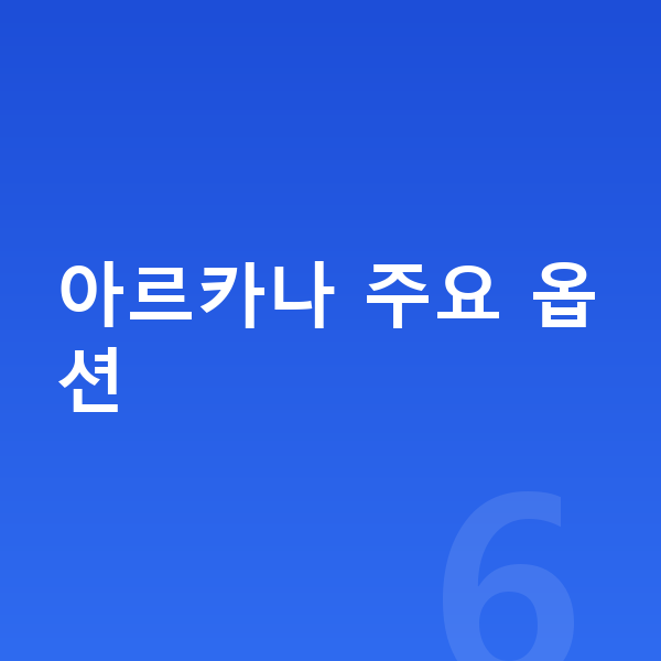르노 아르카나 옵션 아르카나 주요 옵션
