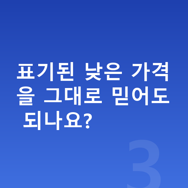 르노 아르카나 장기렌트 가격 표기된 낮은 가격을 그대로 믿어도 되나요?