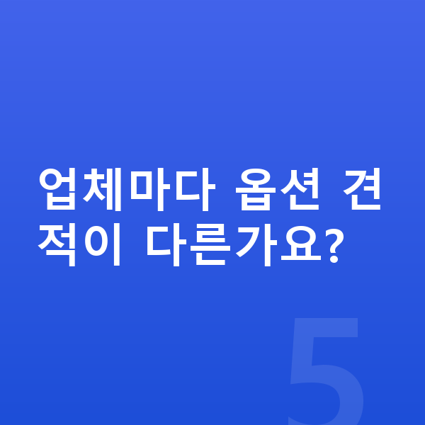 르노 필랑트 옵션 업체마다 옵션 견적이 다른가요?