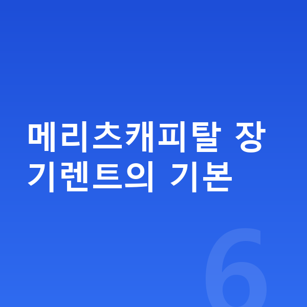 메리츠캐피탈장기렌트 메리츠캐피탈 장기렌트의 기본