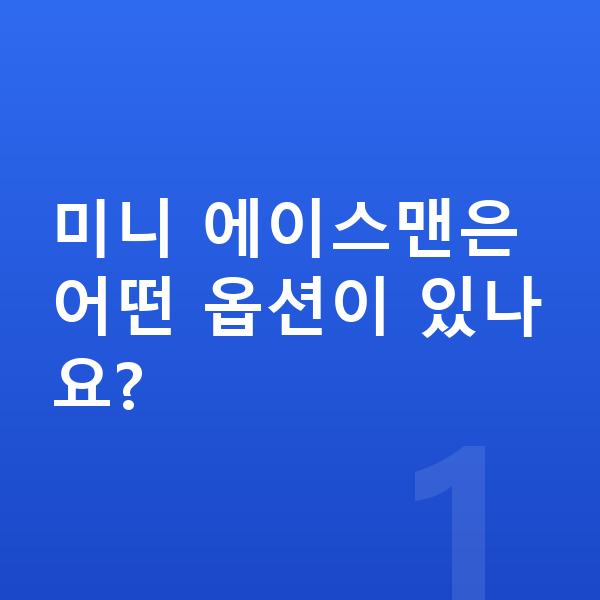 미니 에이스맨 옵션 미니 에이스맨은 어떤 옵션이 있나요?