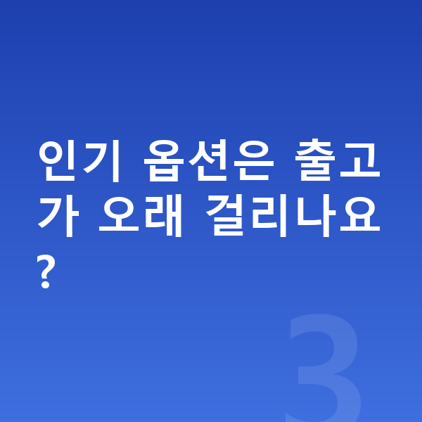 미니 에이스맨 옵션 인기 옵션은 출고가 오래 걸리나요?