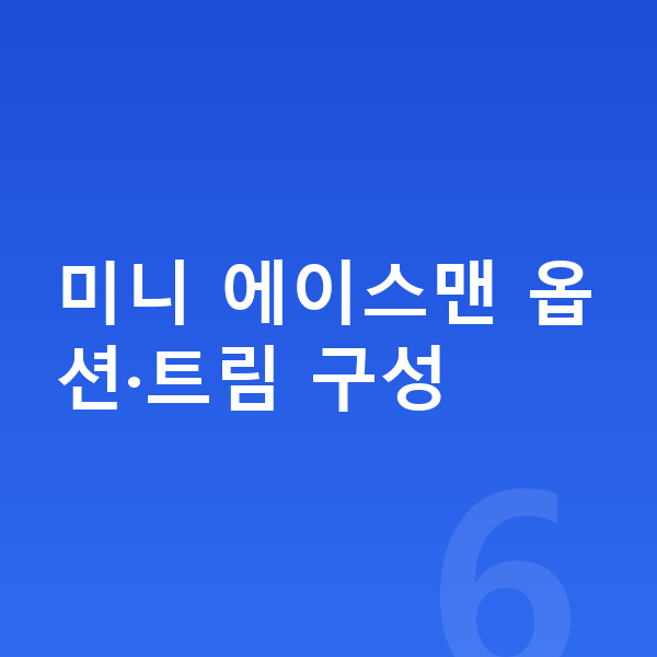 미니 에이스맨 옵션 미니 에이스맨 옵션·트림 구성