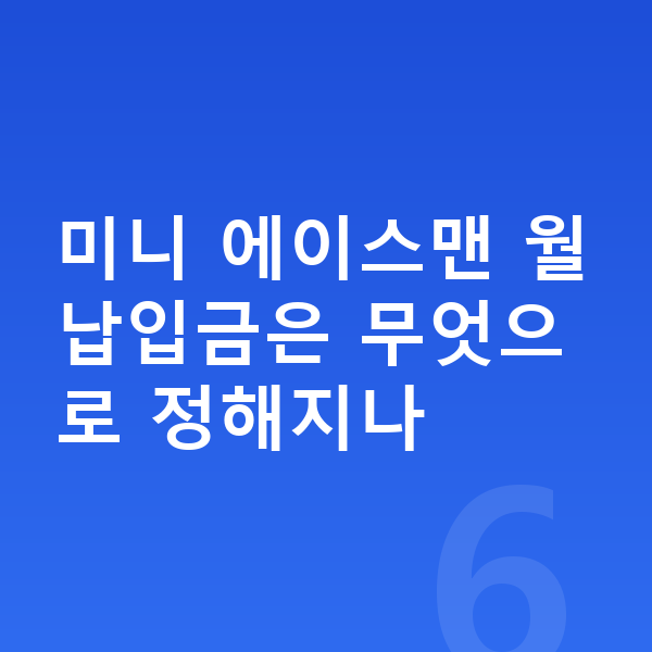 미니 에이스맨 장기렌트 월납입금 미니 에이스맨 월납입금은 무엇으로 정해지나