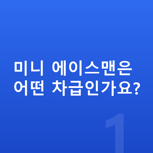 미니 에이스맨 제원 미니 에이스맨은 어떤 차급인가요?