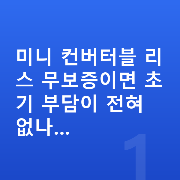 미니 컨버터블 리스 무보증 미니 컨버터블 리스 무보증이면 초기 부담이 전혀 없나…