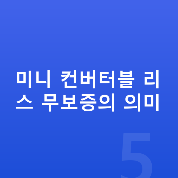 미니 컨버터블 리스 무보증 미니 컨버터블 리스 무보증의 의미
