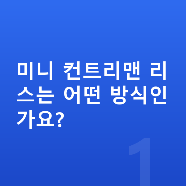 미니 컨트리맨 리스 미니 컨트리맨 리스는 어떤 방식인가요?