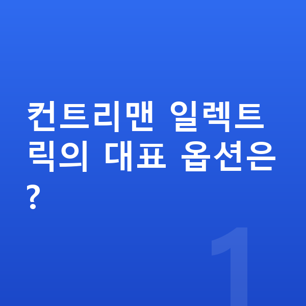 미니 컨트리맨 일렉트릭 옵션 컨트리맨 일렉트릭의 대표 옵션은?