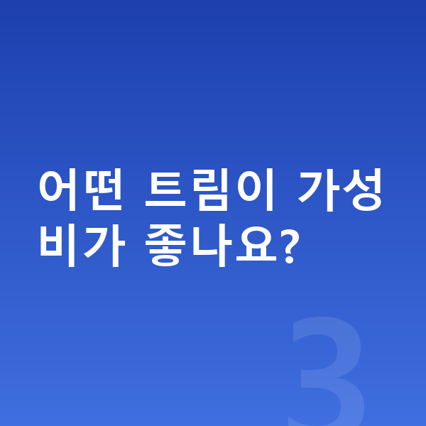 미니 컨트리맨 일렉트릭 옵션 어떤 트림이 가성비가 좋나요?