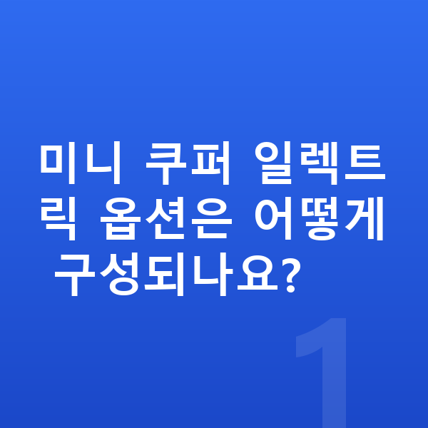 미니 쿠퍼 일렉트릭 옵션 미니 쿠퍼 일렉트릭 옵션은 어떻게 구성되나요?