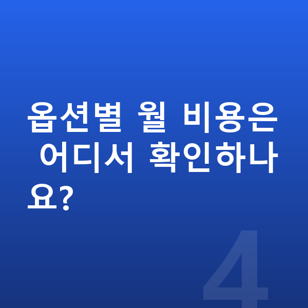 미니 쿠퍼 일렉트릭 옵션 옵션별 월 비용은 어디서 확인하나요?