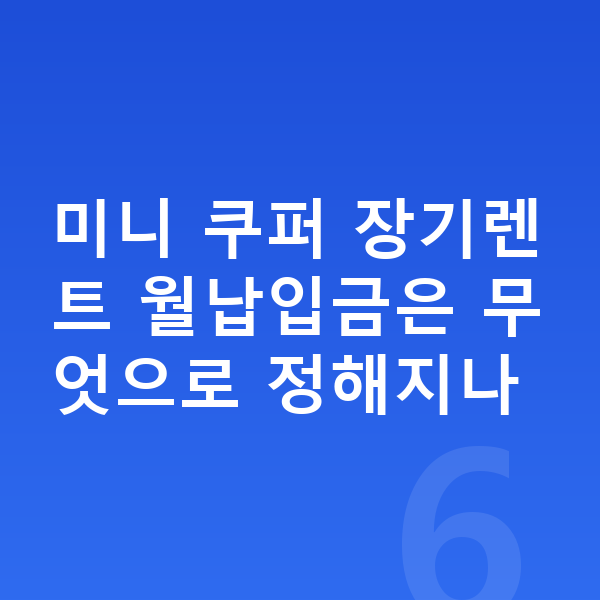 미니 쿠퍼 장기렌트 월납입금 미니 쿠퍼 장기렌트 월납입금은 무엇으로 정해지나