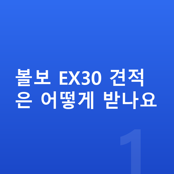 볼보 EX30 견적 볼보 EX30 견적은 어떻게 받나요