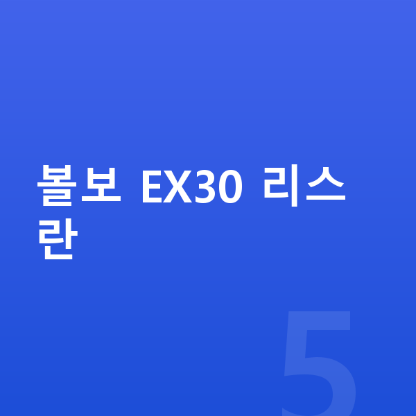 볼보 EX30 리스 볼보 EX30 리스란