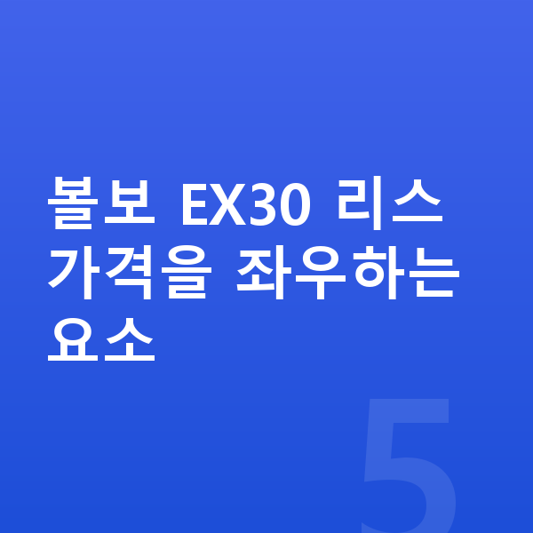 볼보 EX30 리스 가격 볼보 EX30 리스 가격을 좌우하는 요소