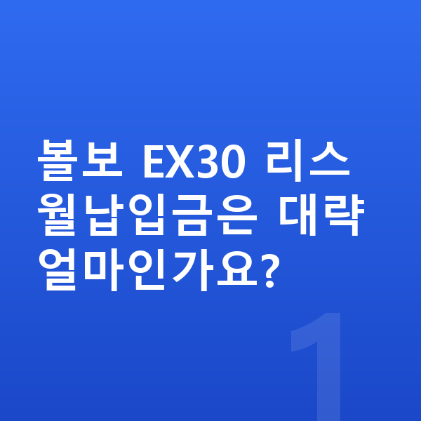 볼보 EX30 리스 월납입금 볼보 EX30 리스 월납입금은 대략 얼마인가요?