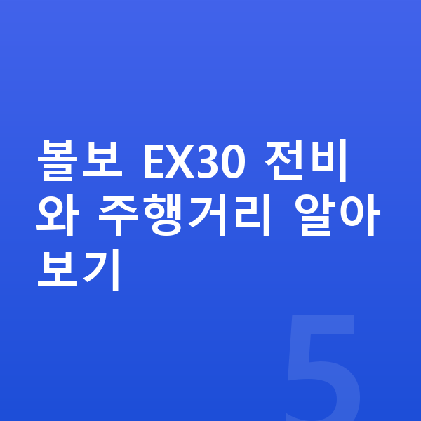볼보 EX30 연비 볼보 EX30 전비와 주행거리 알아보기