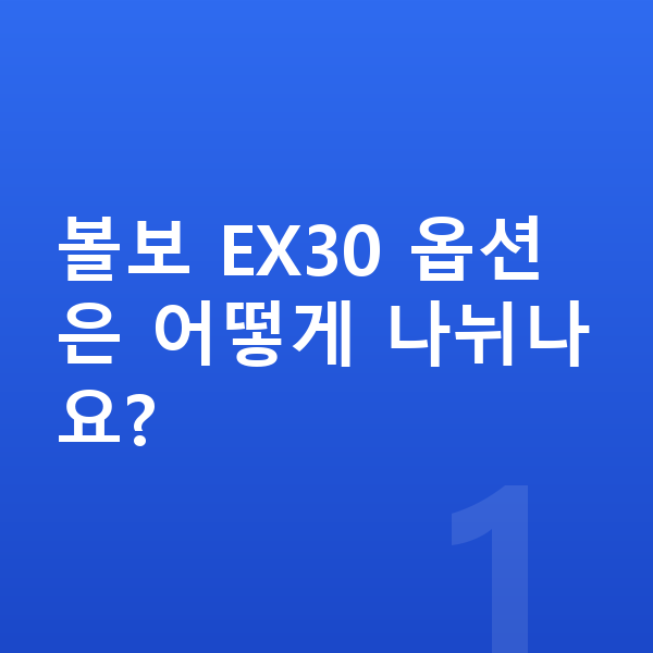 볼보 EX30 옵션 볼보 EX30 옵션은 어떻게 나뉘나요?