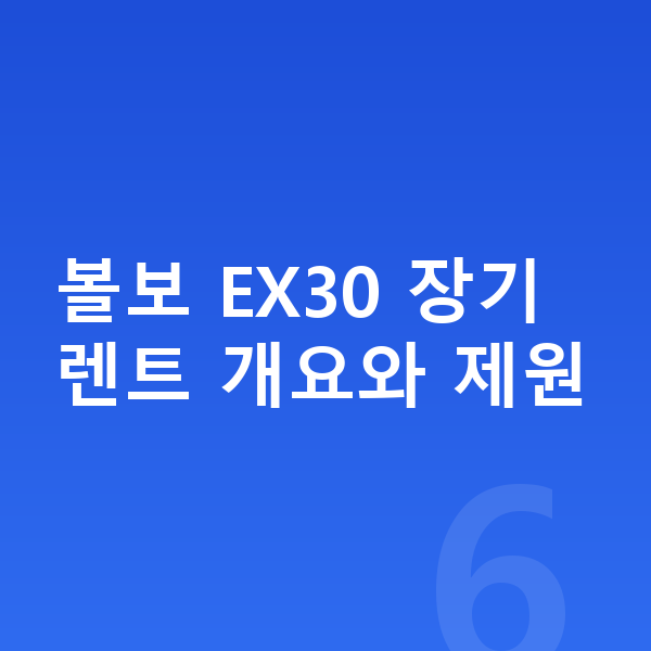 볼보 EX30 장기렌트 볼보 EX30 장기렌트 개요와 제원