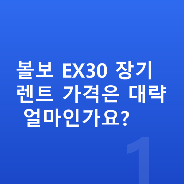 볼보 EX30 장기렌트 가격 볼보 EX30 장기렌트 가격은 대략 얼마인가요?