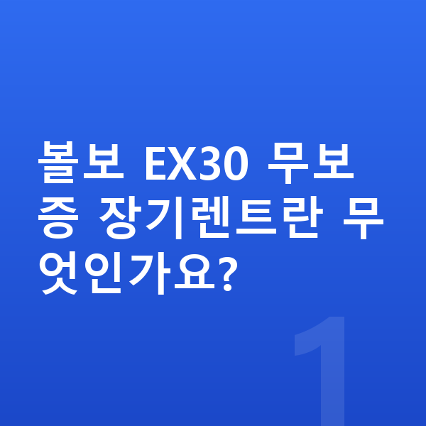 볼보 EX30 장기렌트 무보증 볼보 EX30 무보증 장기렌트란 무엇인가요?