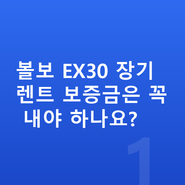 볼보 EX30 장기렌트 보증금 볼보 EX30 장기렌트 보증금은 꼭 내야 하나요?