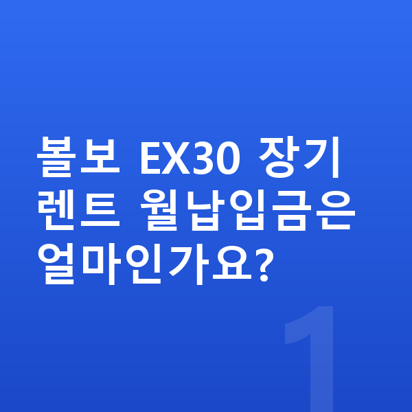 볼보 EX30 장기렌트 월납입금 볼보 EX30 장기렌트 월납입금은 얼마인가요?