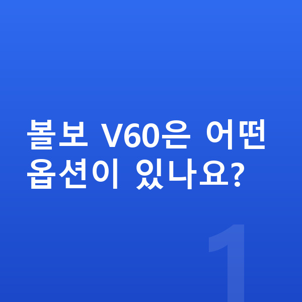 볼보 V60 옵션 볼보 V60은 어떤 옵션이 있나요?