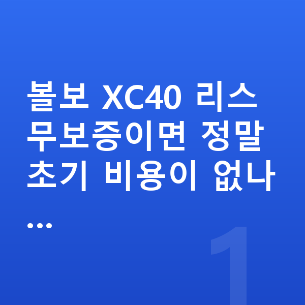 볼보 XC40 리스 무보증 볼보 XC40 리스 무보증이면 정말 초기 비용이 없나…