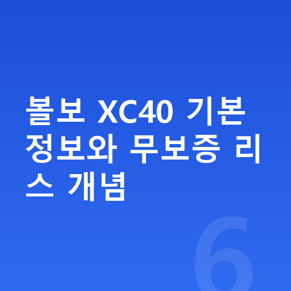 볼보 XC40 리스 무보증 볼보 XC40 기본 정보와 무보증 리스 개념
