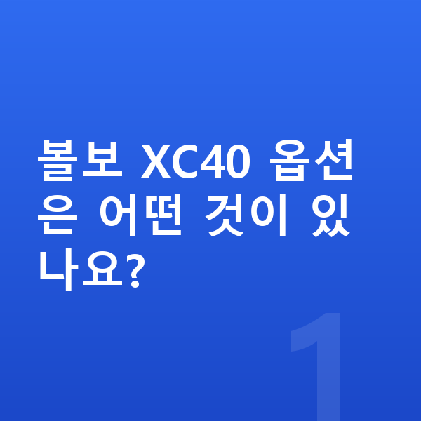 볼보 XC40 옵션 볼보 XC40 옵션은 어떤 것이 있나요?
