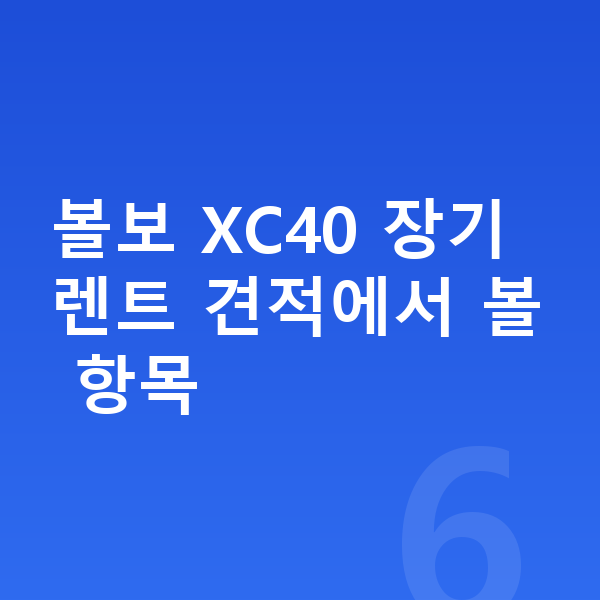 볼보 XC40 장기렌트 견적 볼보 XC40 장기렌트 견적에서 볼 항목